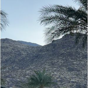 Meet your Posher, Ella